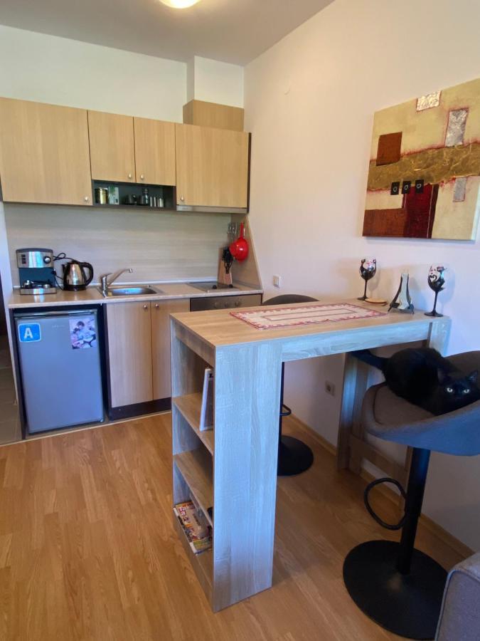 רזלוג Cosy Studios With Mountain View Near Bansko מראה חיצוני תמונה