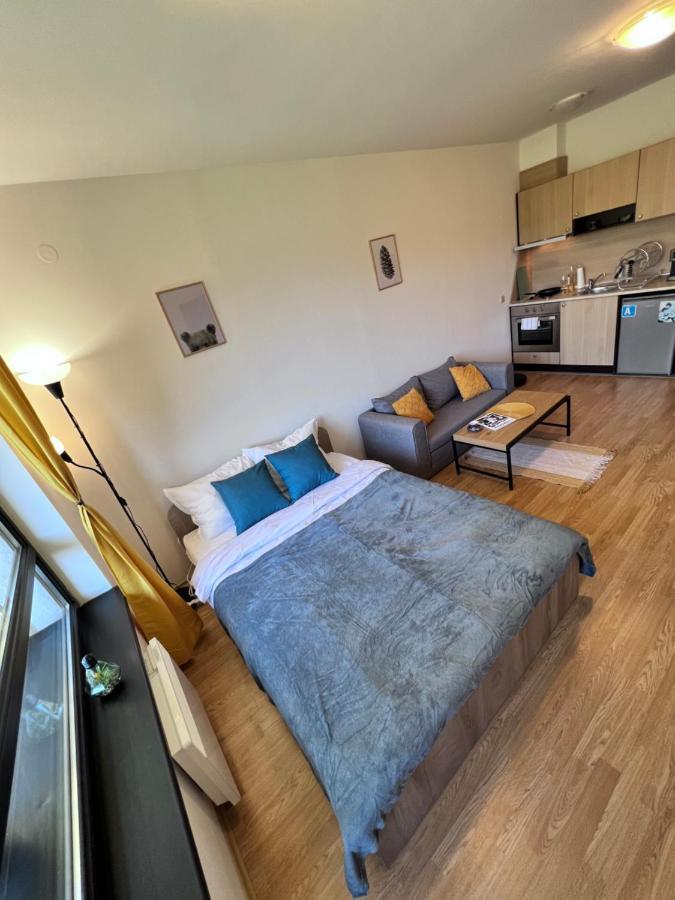 רזלוג Cosy Studios With Mountain View Near Bansko מראה חיצוני תמונה