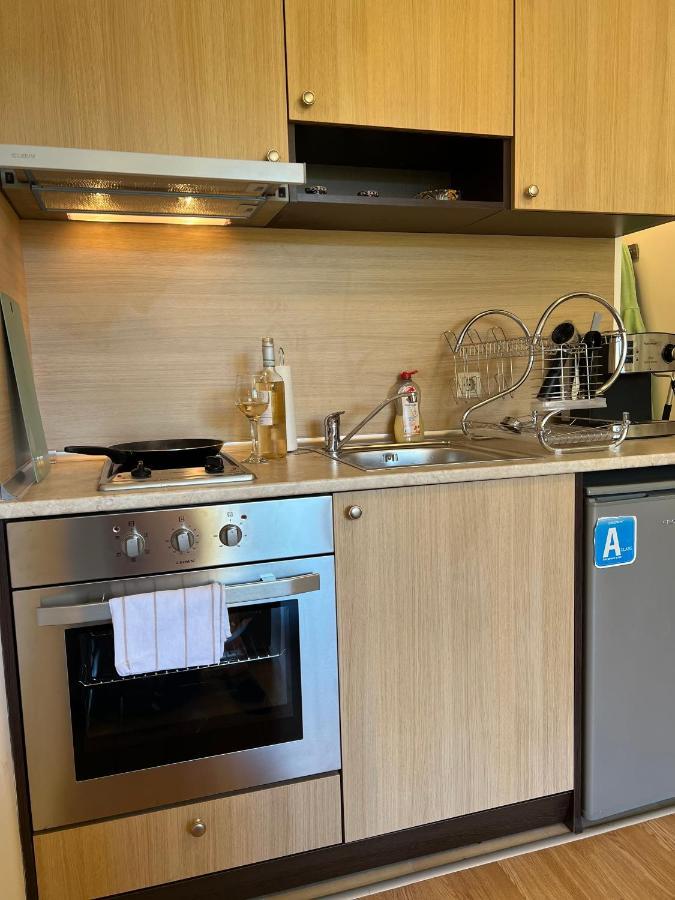 רזלוג Cosy Studios With Mountain View Near Bansko מראה חיצוני תמונה