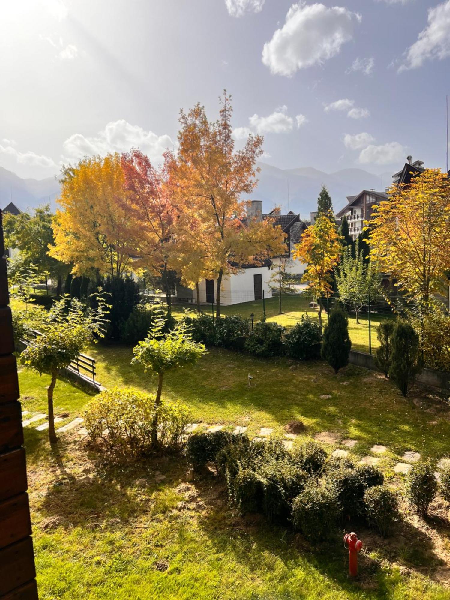 רזלוג Cosy Studios With Mountain View Near Bansko מראה חיצוני תמונה