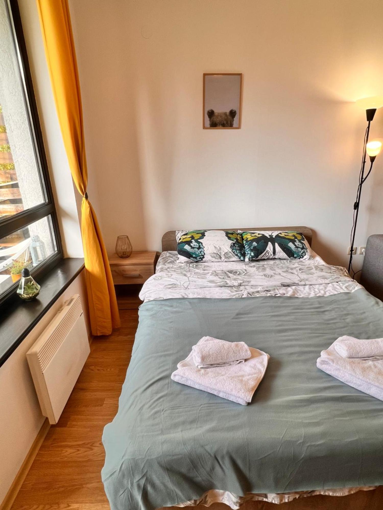 רזלוג Cosy Studios With Mountain View Near Bansko מראה חיצוני תמונה